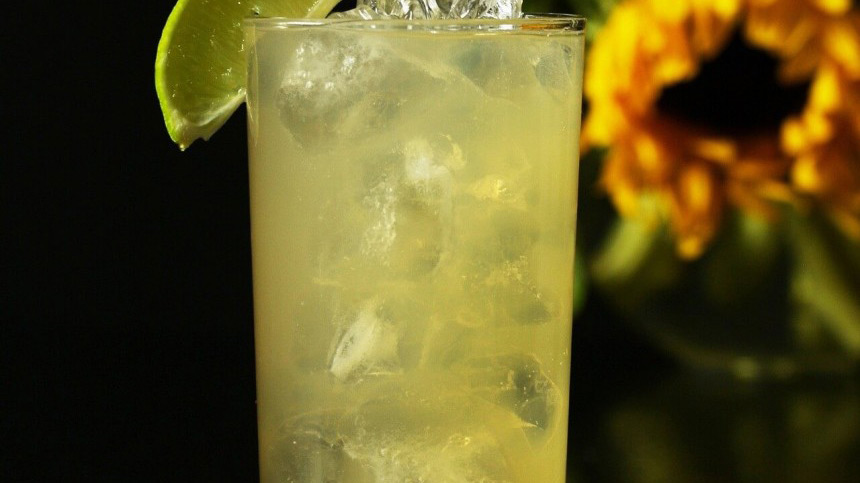 имбирный эль: история появления данного напитка